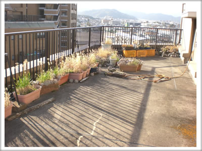 家一軒丸ごと【便利屋】暮らしなんでもお助け隊 福岡荒江店　ベランダ植木鉢片付け施工前