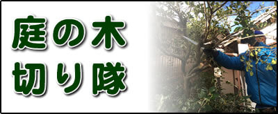 【便利屋】暮らしなんでもお助け隊 福岡荒江店にて何でも屋・便利屋サービス「庭の木切り隊」は、遠く離れた福岡のご実家が空き家となり、お庭でボウボウに伸びた庭木の伐採、庭木の剪定を行っています。さらに庭にある倉庫の片付けなども行っています。その他、福岡のご実家・ご両親の心配事・お困り事何でも解決しています。ご相談ください。